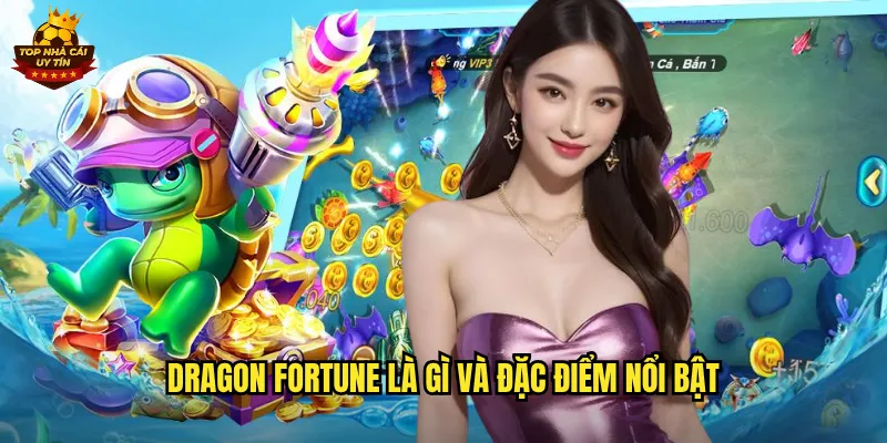 Dragon Fortune là gì và đặc điểm nổi bật