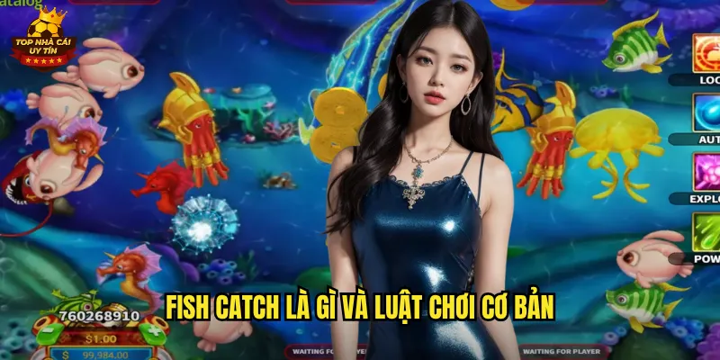 Fish Catch là gì và luật chơi cơ bản
