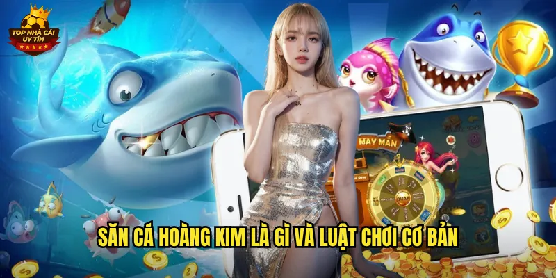 Săn Cá Hoàng Kim Trải Nghiệm Bắn Cá Đẳng Cấp Hoàng Gia Tại Top Nhà Cái Uy Tín 2 Săn Cá Hoàng Kim là gì và luật chơi cơ bản