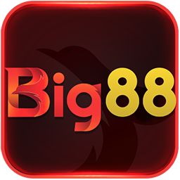 Logo Big 256